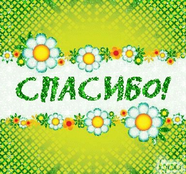 Кулинарный марафон. Итоги