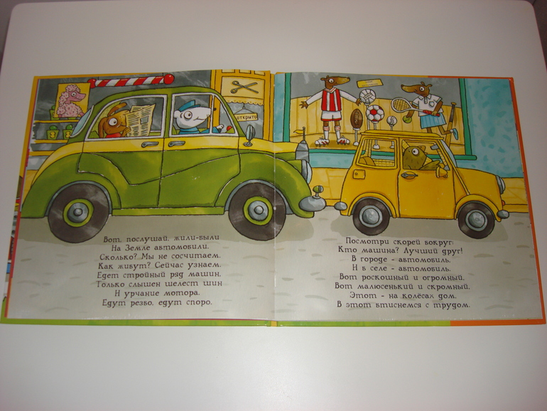 Робинс окошки