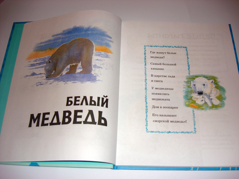 Первый снег...