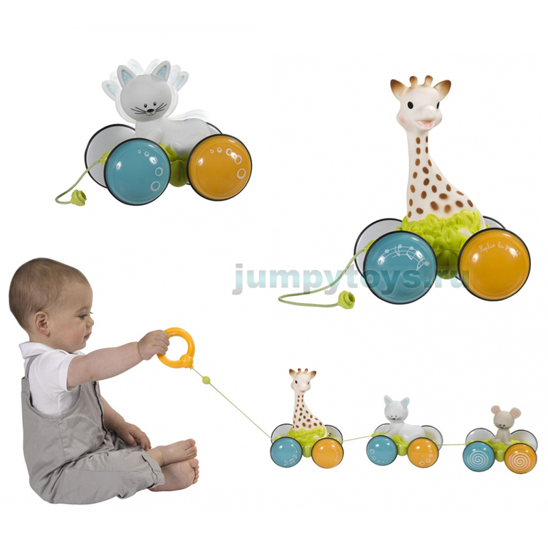 Новинки! Софи & Co от Vulli