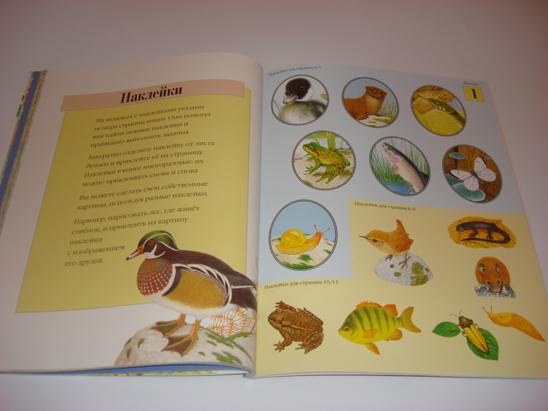 Подарочный фонд. Наклейки на 3 годика