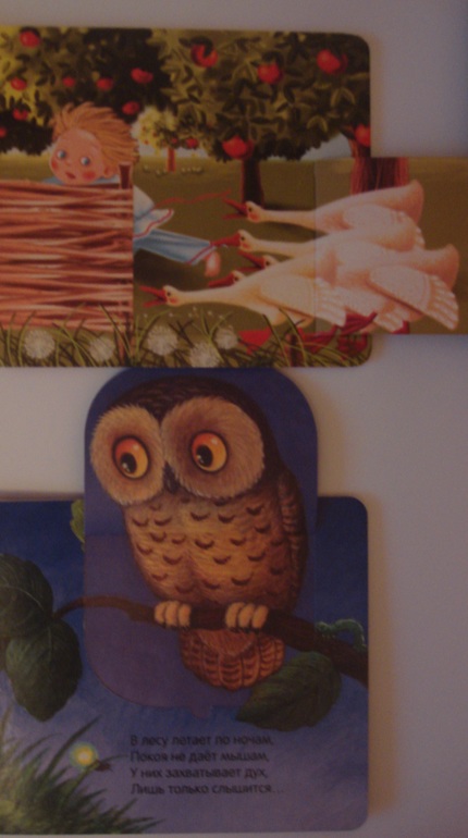 Наши книги до 1 года и после. С  секретными окошками