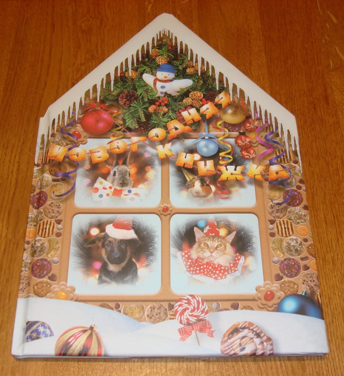 Новогодние книжки от Дишки ;)