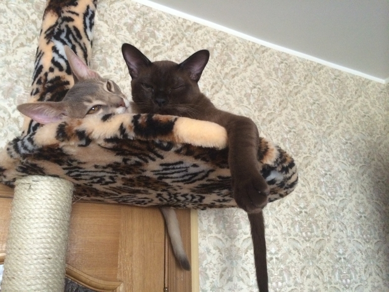 Наша первая выставка!