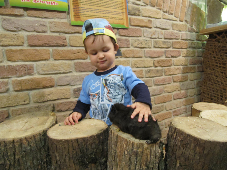 Трогательный зоопарк