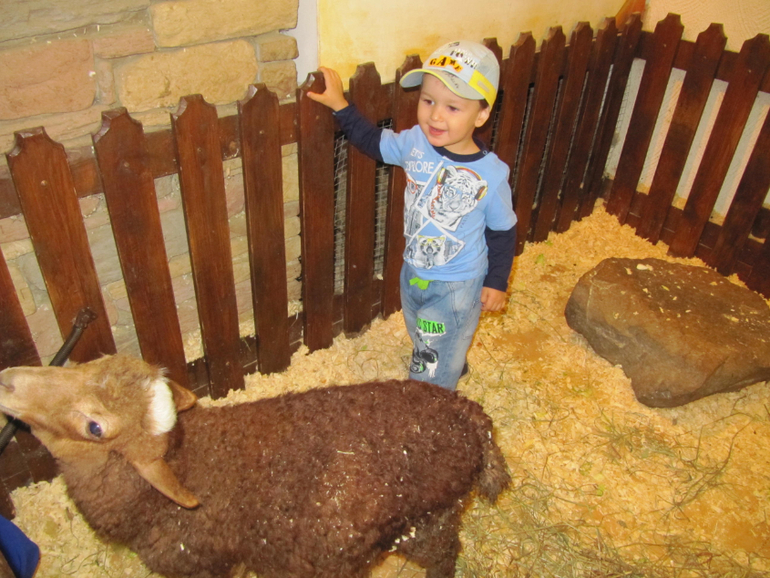 Трогательный зоопарк