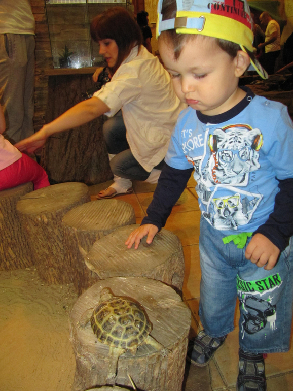 Трогательный зоопарк