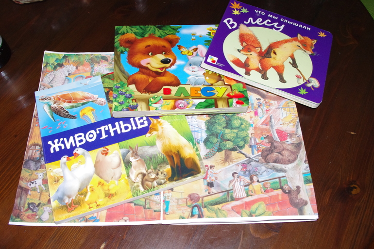 ТМ Дикие животные. День первый. Медведь
