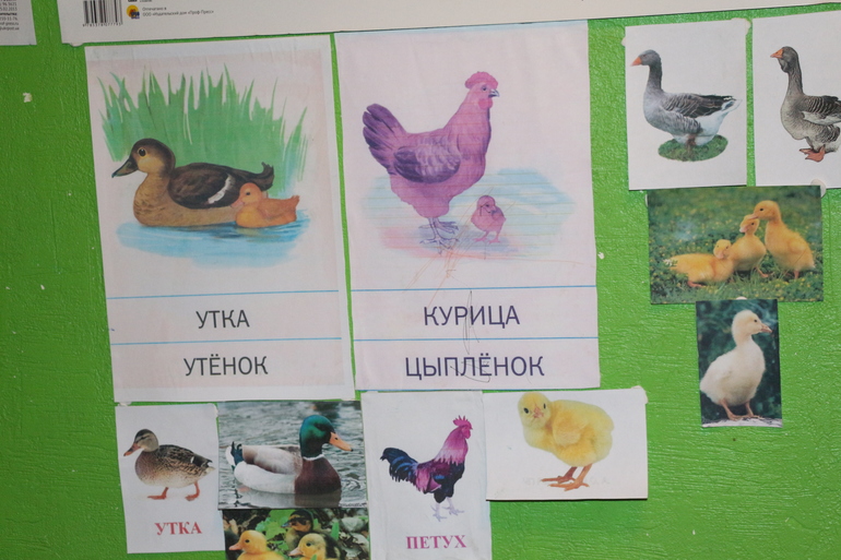 Отчет Утка