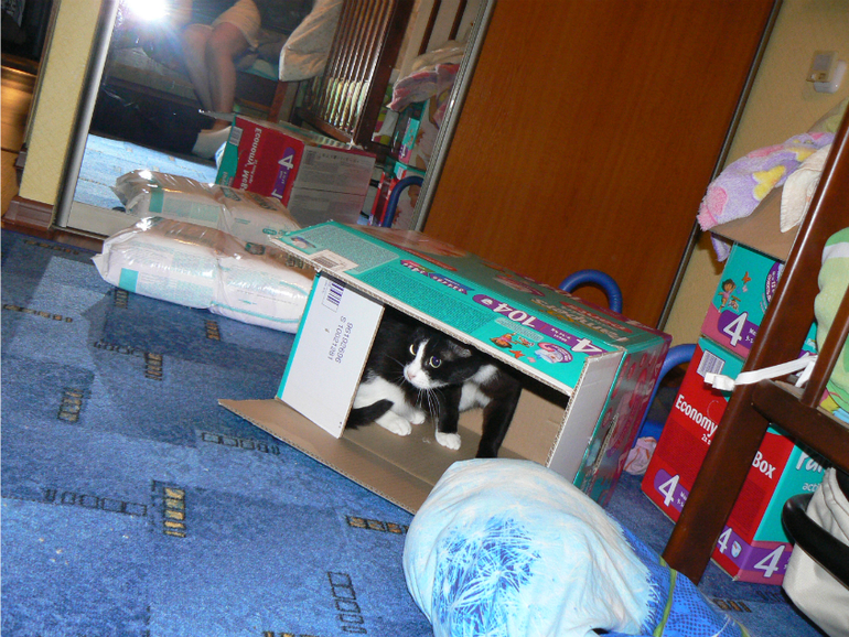 Я сегодня бот и спамер))))))