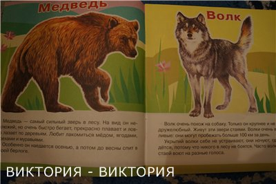 Мини-энциклопедии 2