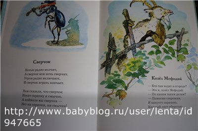 Кот Василий