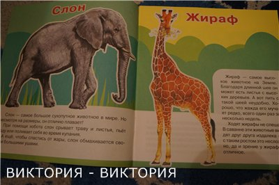 Мини-энциклопедии 2