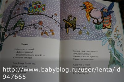 Кот Василий