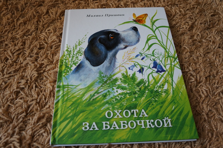 Пришвин муравьи. Пришвин книги охота за бабочкой.