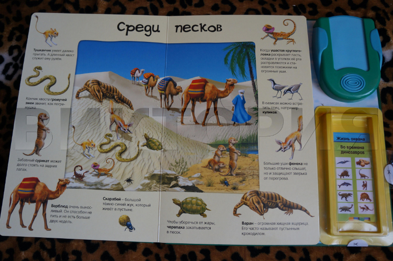 Наше пополнение