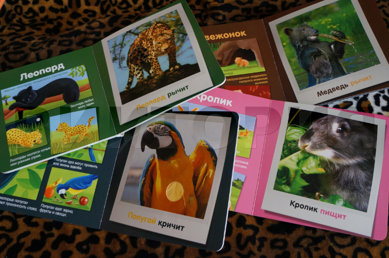 Тактильные ощущения и моторика рук