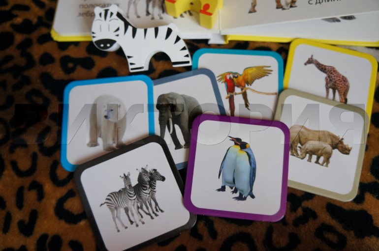 Развивающий набор карточек+игрушки+книга