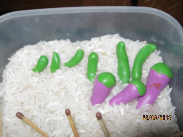 ТН Овощи (по мотивам ФМ от Светланы)