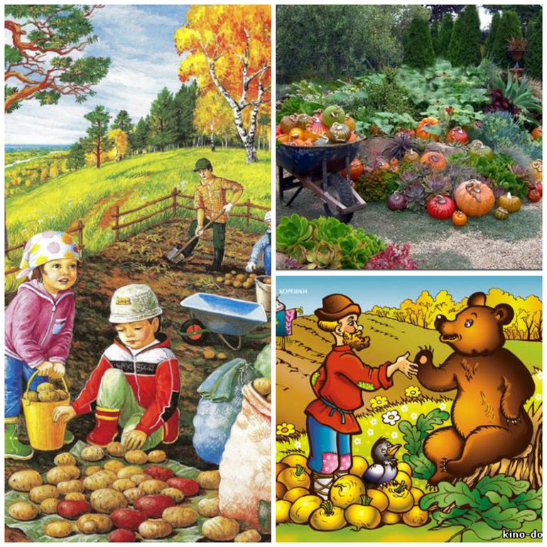 Запись на ТН