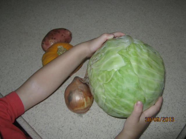 ТН Овощи (по мотивам ФМ от Светланы)