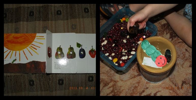 Наша очень голодная гусеница