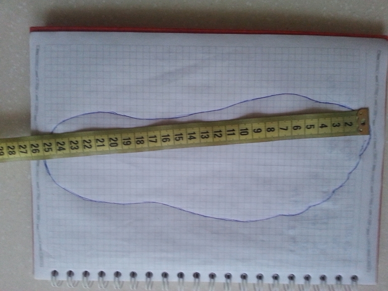 Мерки моей стопы....