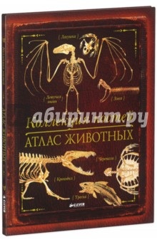 Ну очень классная книжка!!!(Новинка от Clever)