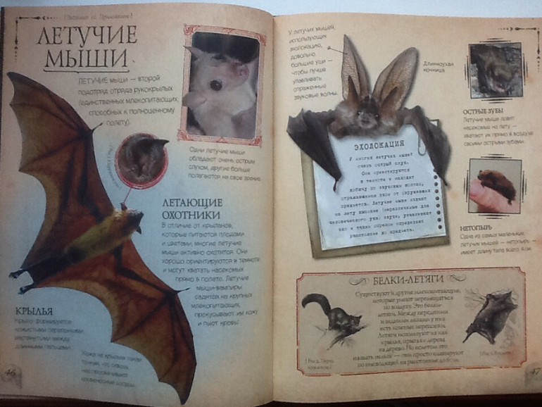 Ну очень классная книжка!!!(Новинка от Clever)