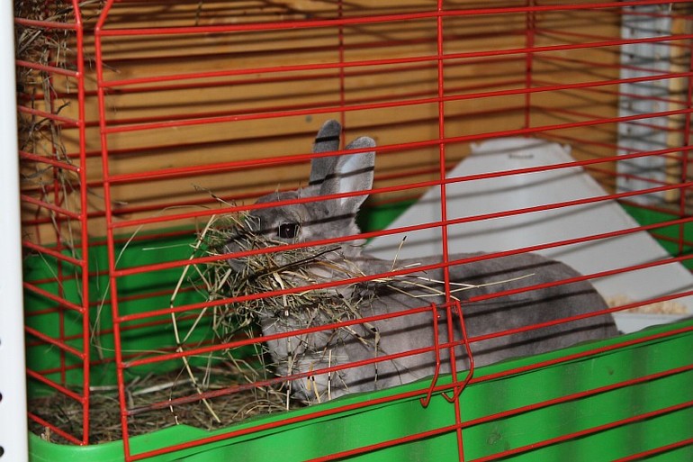 Кроля такая милая.....