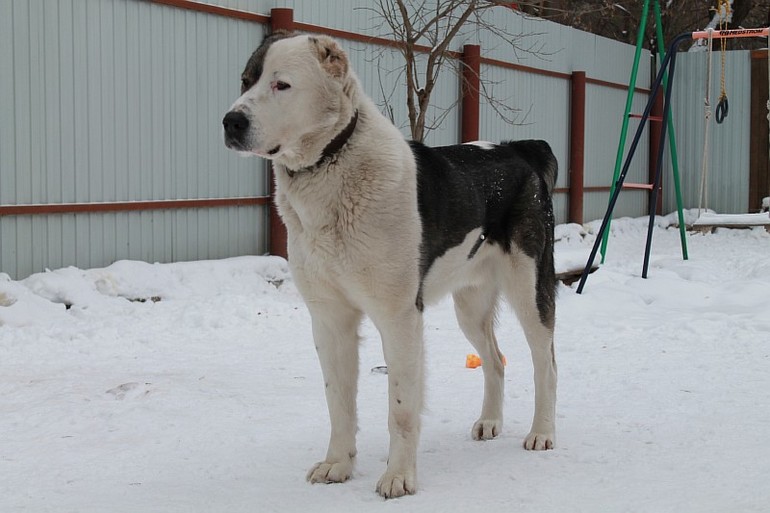 Мой самый преданный друг=)