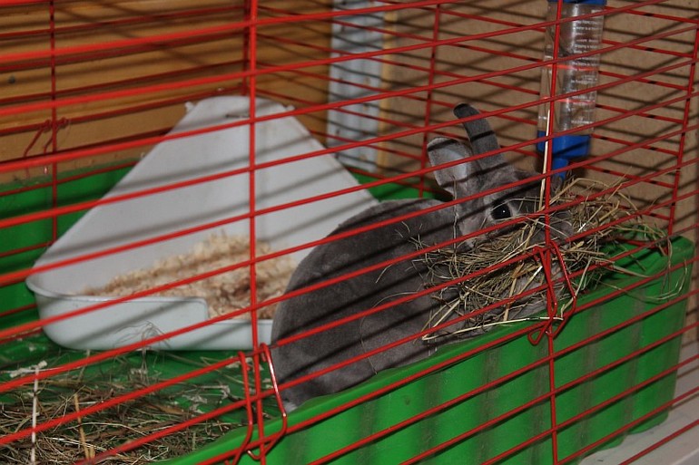 Кроля такая милая.....