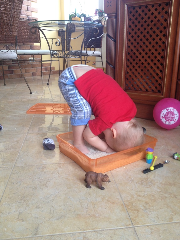 Наши развлечения дома