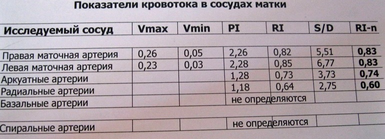 Чудеса, да и только...