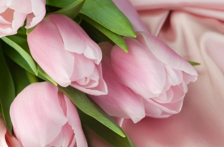 На моей страничке Вы найдете не только общение, но и возможность приодеться по наилучшим ценам!!!