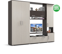 Гостиная– спальня