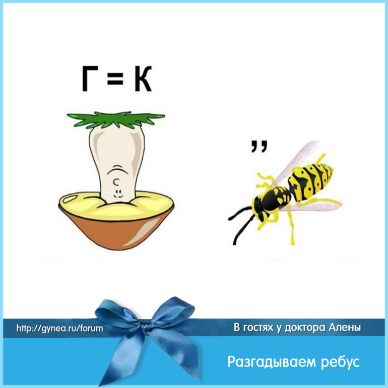 Genshin разгадайте загадку. Ребус. Разгадать ребус с ответами. Ребус пчела. Ребусы на др.