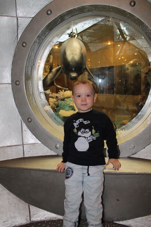 Дарвиновский музей.