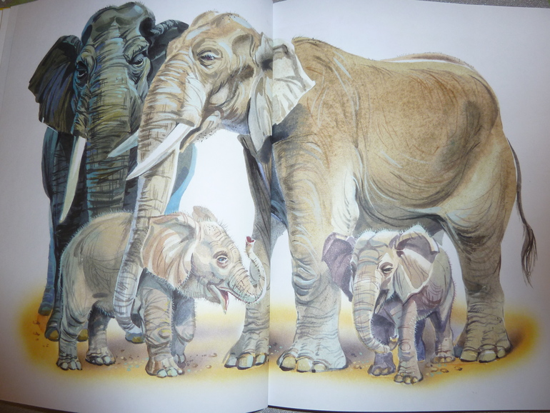 Ах, эти скидки, скидки, скидки...)))