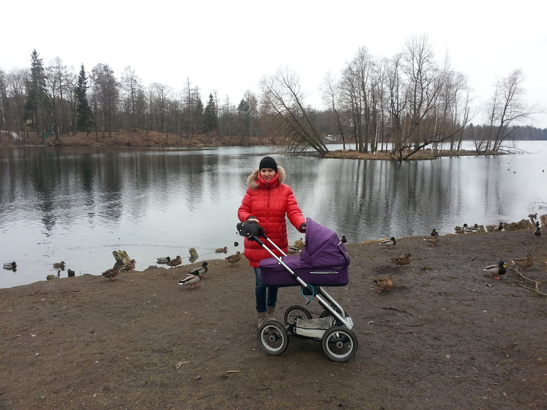 отчет 3 месяца)))