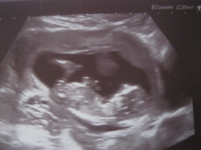 Кто в домике