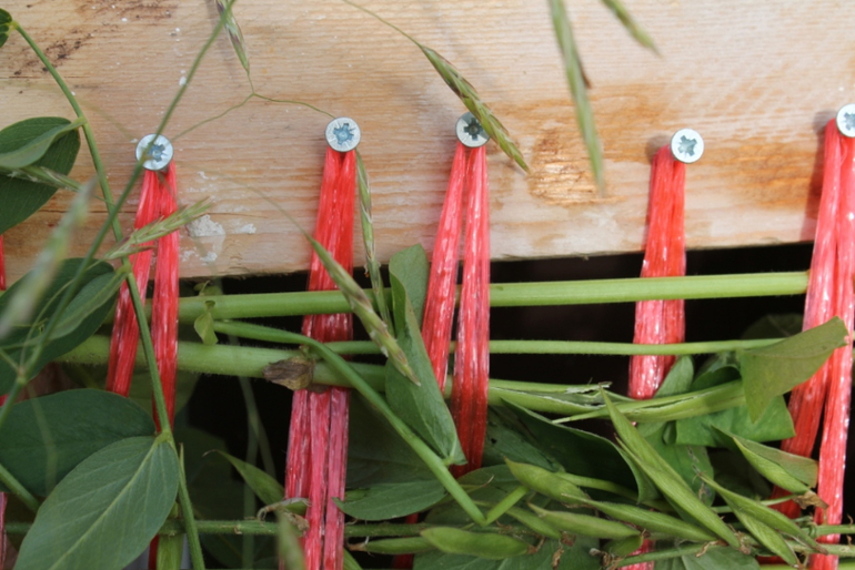 Квест для детей - ищем сокровища Персии и Месопотамии.