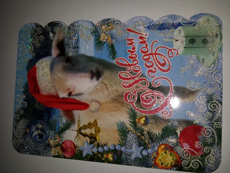 Современные открытки