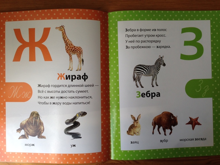 Азбука в стихах. Филиппова Анастасия, изд. Сибиллиана