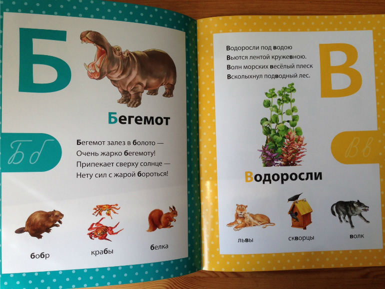 Азбука в стихах. Филиппова Анастасия, изд. Сибиллиана