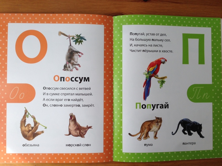 Азбука в стихах. Филиппова Анастасия, изд. Сибиллиана