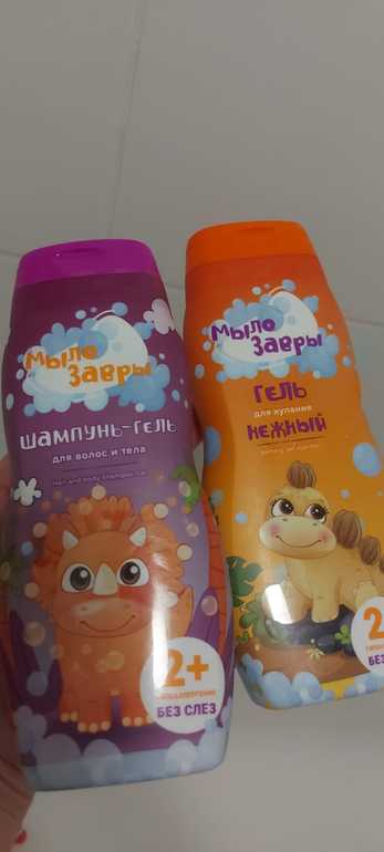 Знакомство с Мылозаврами